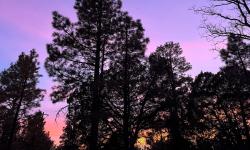 Featured image of post 20241228 - FT8 POTA Coconino National Forest