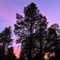 20241228 - FT8 POTA Coconino National Forest