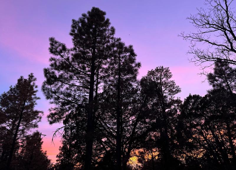 Featured image of post 20241228 - FT8 POTA Coconino National Forest