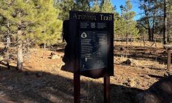Featured image of post 20241230 - Evening POTA on the Arizona Trail