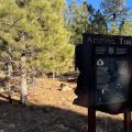 20241230 - Evening POTA on the Arizona Trail