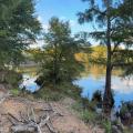 Oct18, 2025 - Support your parks Weekend